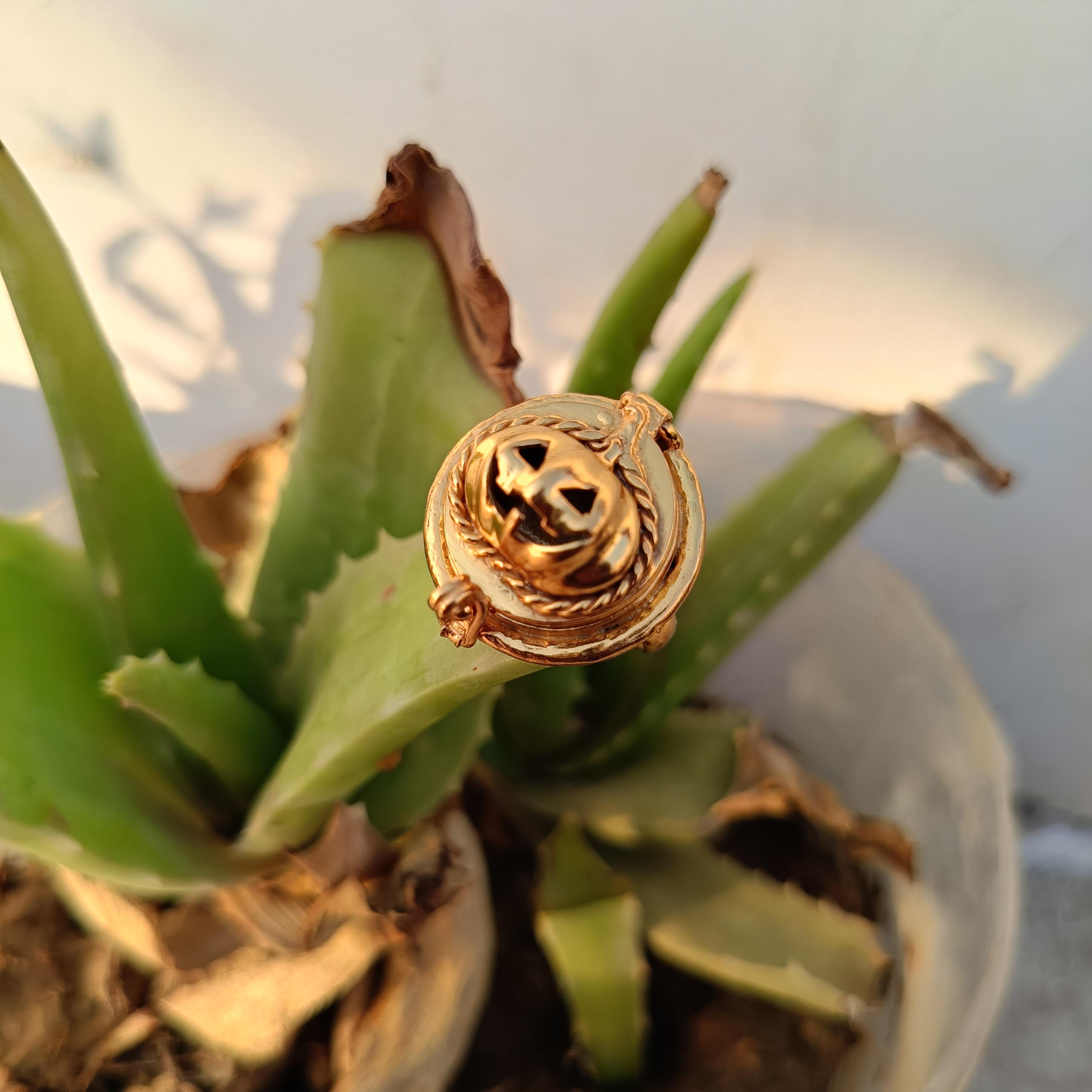 Pumpkin Face Poison Ring, Ghost Pumpkin Ring ,Handmade Poison Gold Ring ,Halloween party Gift ,Angry Pumpkin Faces perfume box poison Ring 6
Pumpkin Face Poison Ring, Ghost Pumpkin Ring ,Handmade Poison Gold Ring ,Halloween party Gift ,Angry Pumpkin Faces perfume box poison Ring 6