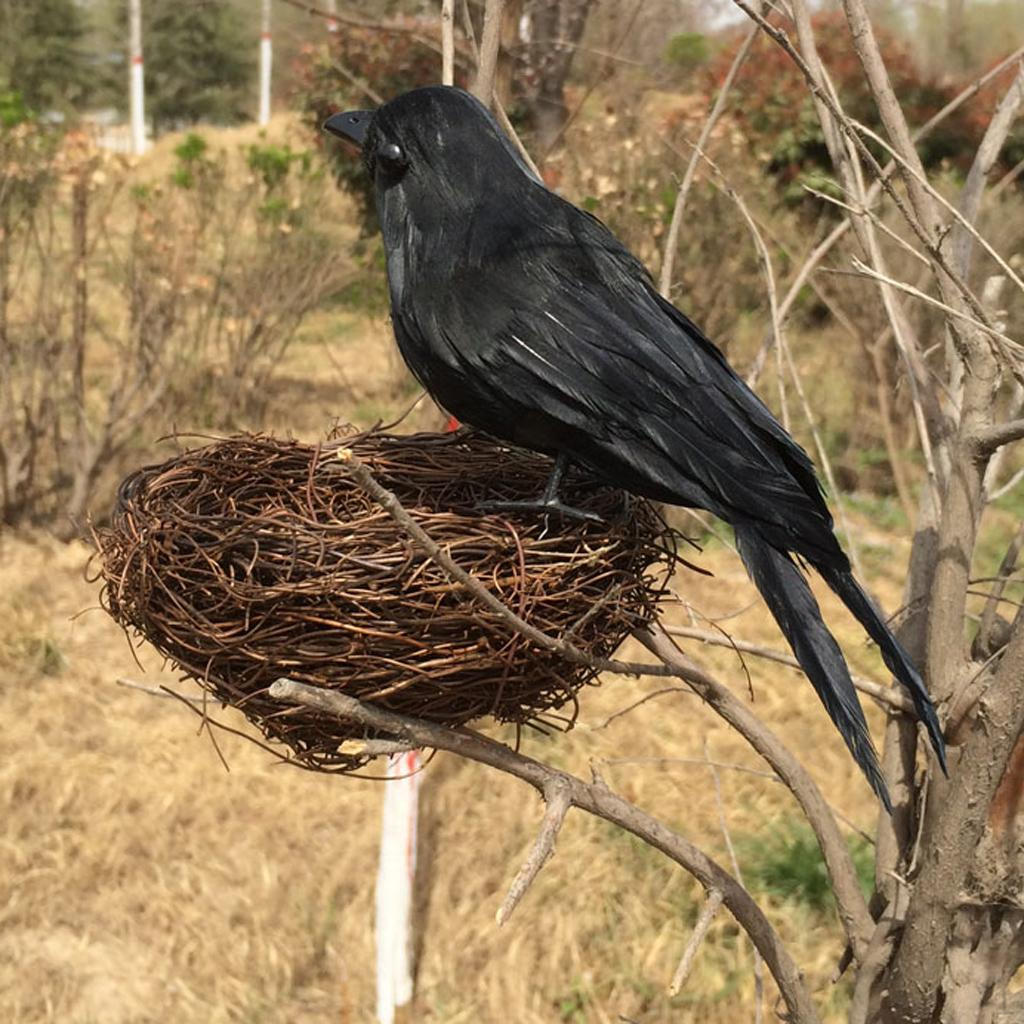 Искусственные птицы, елочные украшения, украшение для сада и дома, вечеринка 16cm
Искусственные птицы, елочные украшения, украшение для сада и дома, вечеринка 16cm