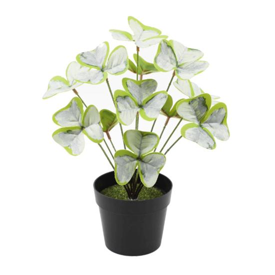 Искусственное растение в горшке Реалистичное искусственное зеленое растение Долговечное растение Монстера в горшке для декора дома, гостиной, спальни, стола F
Искусственное растение в горшке Реалистичное искусственное зеленое растение Долговечное растение Монстера в горшке для декора дома, гостиной, спальни, стола F