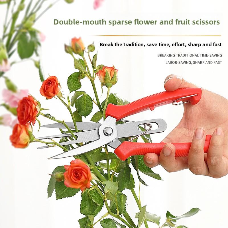 1pcs Double-Edged Fruit Flower Thinning Scissors Carbon Steel Garden Orchard Plant Kiwi Pear Apple Trees Multi-use Pruning Tools
1pcs Double-Edged Fruit Flower Thinning Scissors Carbon Steel Garden Orchard Plant Kiwi Pear Apple Trees Multi-use Pruning Tools