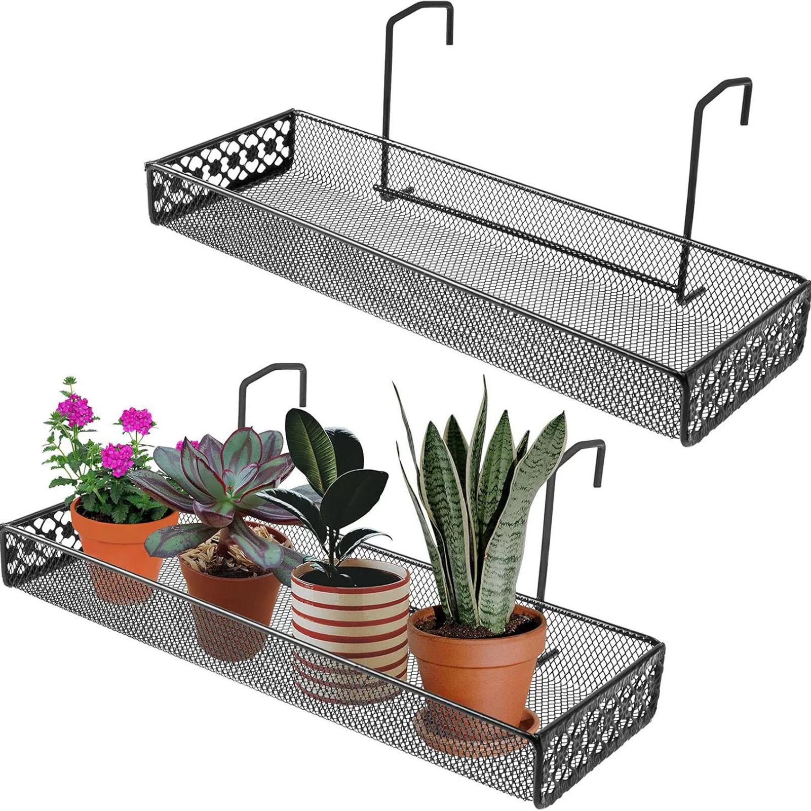Mini Hanging Plant Shelf Iron Mesh Wall Mounted Rack for Succulents & Small Potted Plants
Mini Hanging Plant Shelf Iron Mesh Wall Mounted Rack for Succulents & Small Potted Plants