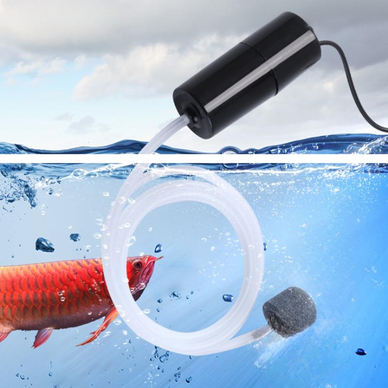 Аквариумный USB воздушный насос, воздушный компрессор для аквариума, портативный мини-оксигенатор, кислородный аэратор, аксессуары для аквариума
Аквариумный USB воздушный насос, воздушный компрессор для аквариума, портативный мини-оксигенатор, кислородный аэратор, аксессуары для аквариума