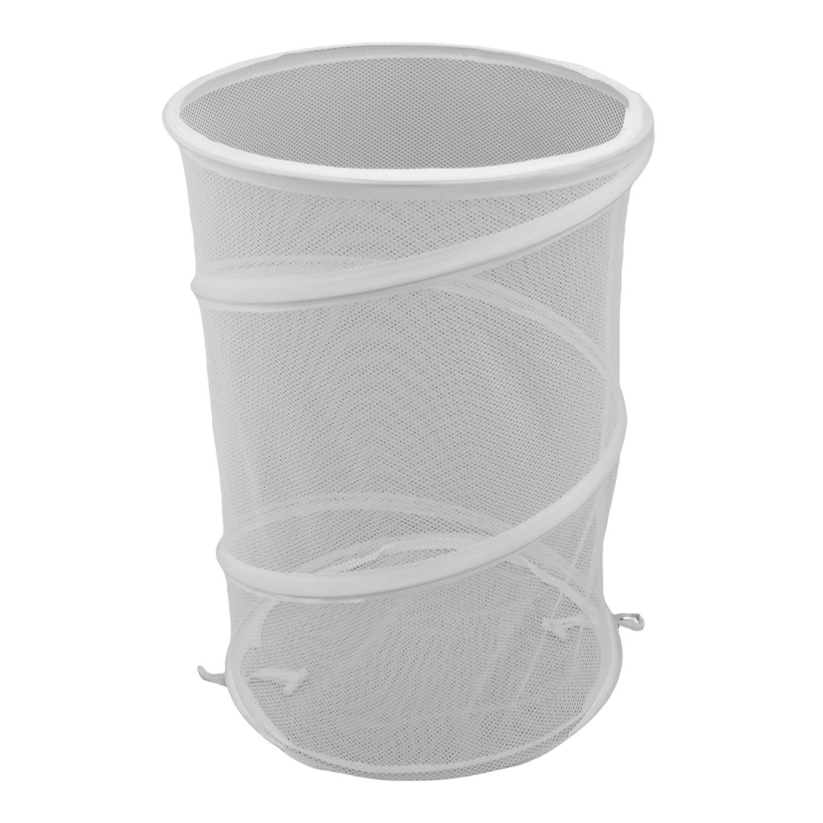 4 шт. Всплывающие укрытия для растений с 16 колышками для грунта Складная сетчатая клетка-защита для растений для сада, двора, сада белый
4 шт. Всплывающие укрытия для растений с 16 колышками для грунта Складная сетчатая клетка-защита для растений для сада, двора, сада белый