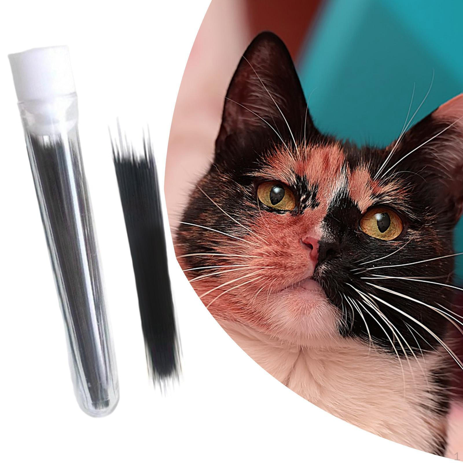 Искусственные кошачьи усы, искусственная борода животного, кукольные бороды, мягкая игрушка для украшения дома 0.18mm_Black
Искусственные кошачьи усы, искусственная борода животного, кукольные бороды, мягкая игрушка для украшения дома 0.18mm_Black