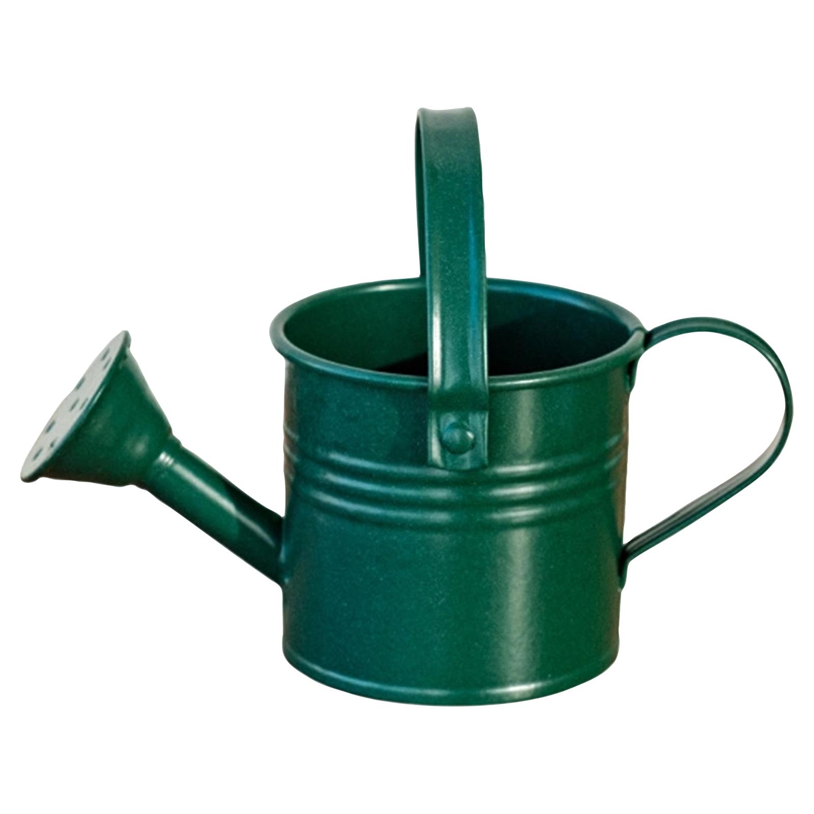 Small Watering Jug For Plants, Garden Watering Jug, Decoration With Ribbon Bow, Garden Tools One Size темно-зеленого
Small Watering Jug For Plants, Garden Watering Jug, Decoration With Ribbon Bow, Garden Tools One Size темно-зеленого