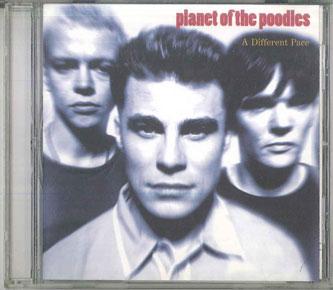 CD PLANET OF THE POODLES A Different Pace POCP7285PROMO STOCKHOLM 1998 Japan Obi Rock Used
CD PLANET OF THE POODLES A Different Pace POCP7285PROMO STOCKHOLM 1998 Japan Obi Rock Used