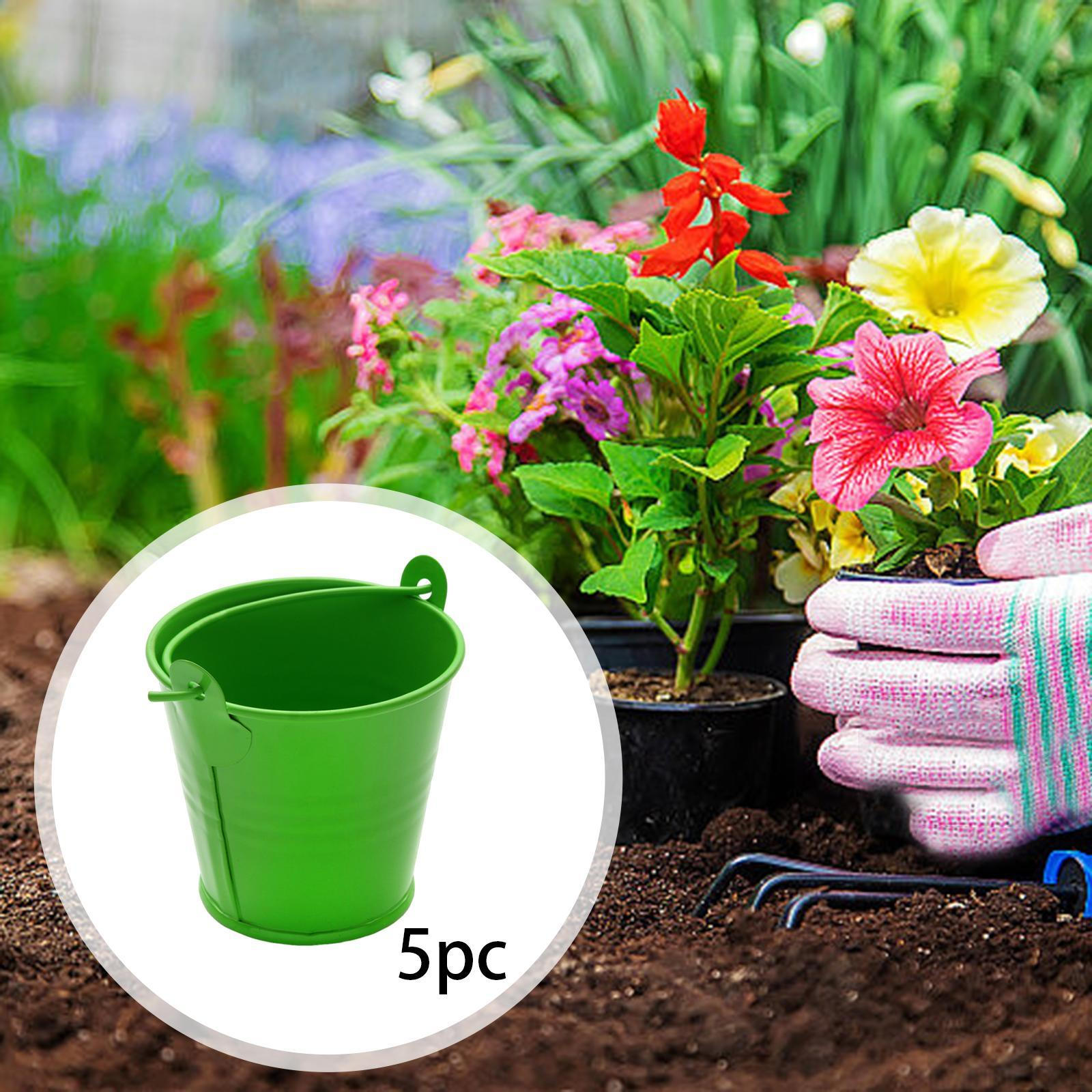 Набор из 5 оцинкованных металлических ведер, ведерки для льда с ручкой, украшение стола, для конфет, для вечеринки зелёный
Набор из 5 оцинкованных металлических ведер, ведерки для льда с ручкой, украшение стола, для конфет, для вечеринки зелёный