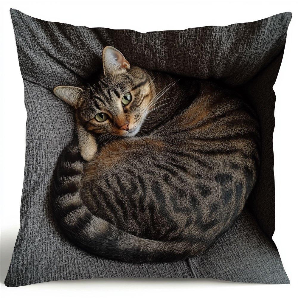 Adorable Tabby Cat Throw Pillow Cover Winter Sleeping Kitten Living Room Decor 45X45CM
Adorable Tabby Cat Throw Pillow Cover Winter Sleeping Kitten Living Room Decor 45X45CM