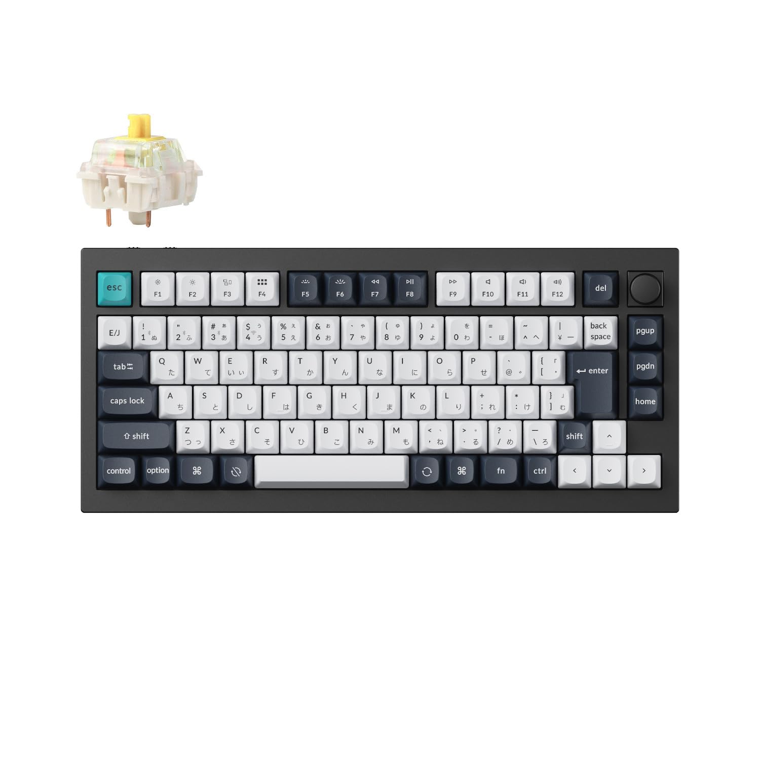 Q1 Max Wireless Custom Mechanical JIS RGB Hot Swap Compatible Gateron Jupiter Mechanical Windows Linux Compatible Gateron Jupiter Mechanical banana
Q1 Max Wireless Custom Mechanical JIS RGB Hot Swap Compatible Gateron Jupiter Mechanical Windows Linux Compatible Gateron Jupiter Mechanical banana