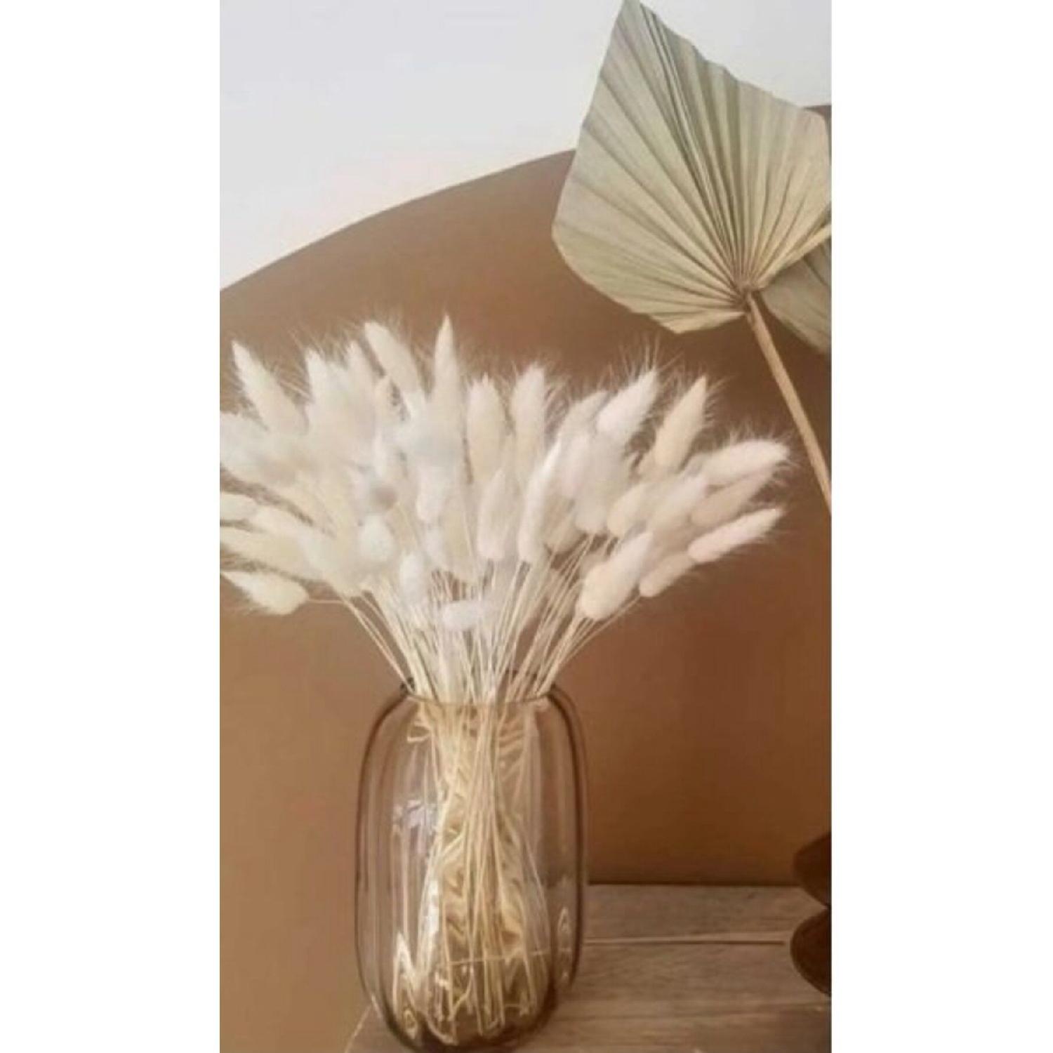 30 Branches Of Dried Cotton Grass In White Color - Rabbit Tail, Bridal Bouquet, Arrangement Flower (Lagurus) білий
30 Branches Of Dried Cotton Grass In White Color - Rabbit Tail, Bridal Bouquet, Arrangement Flower (Lagurus) білий