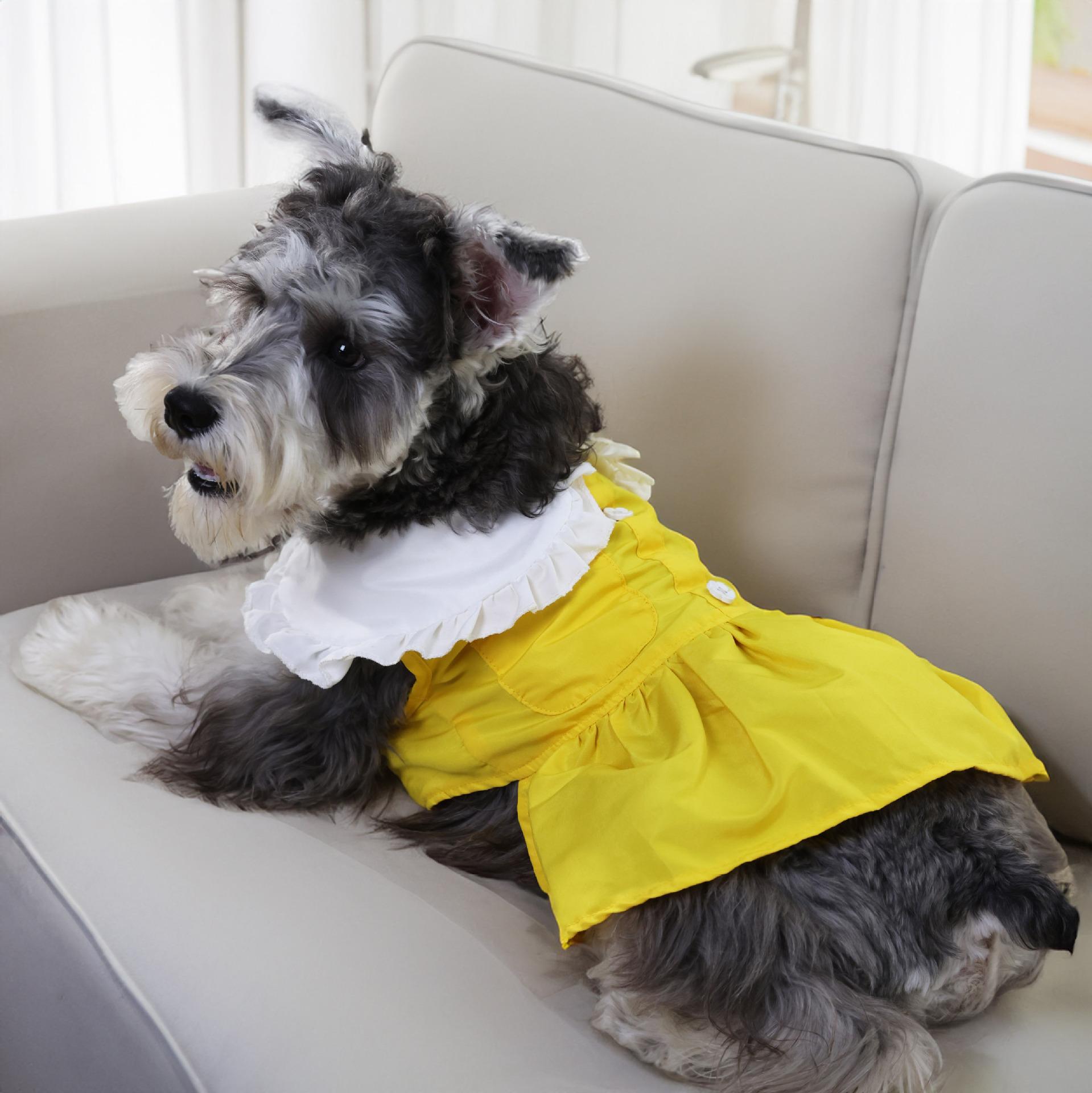 Summer Thin Doll Collar Skirt Pet Dog Dog Student Small Dog Teddy Bigbear Dog Clothing Factory 2XL фіолетовий
Summer Thin Doll Collar Skirt Pet Dog Dog Student Small Dog Teddy Bigbear Dog Clothing Factory 2XL фіолетовий