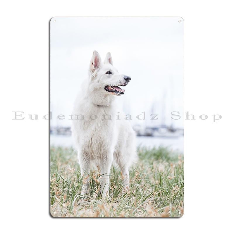 White Swiss Shepherd Dog Metal Sign Wall Mural Cinema Rusty Iron Customize White Swiss Shepherd Tin Sign Poster 40x30cm
White Swiss Shepherd Dog Metal Sign Wall Mural Cinema Rusty Iron Customize White Swiss Shepherd Tin Sign Poster 40x30cm
