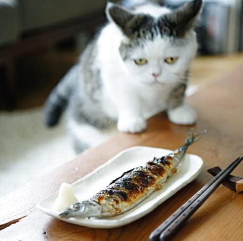 CD ONSOKU LINE - Sanmaioroshi UPCH20054 Japan Japanese Pop/Rock Used 
CD ONSOKU LINE - Sanmaioroshi UPCH20054 Japan Japanese Pop/Rock Used