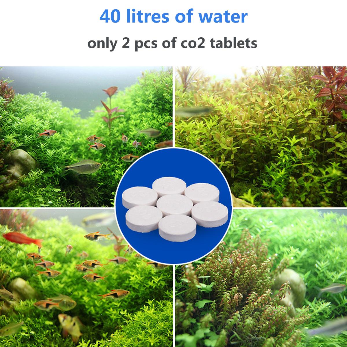 Таблетки для очистки воды в аквариуме
Таблетки для очистки воды в аквариуме