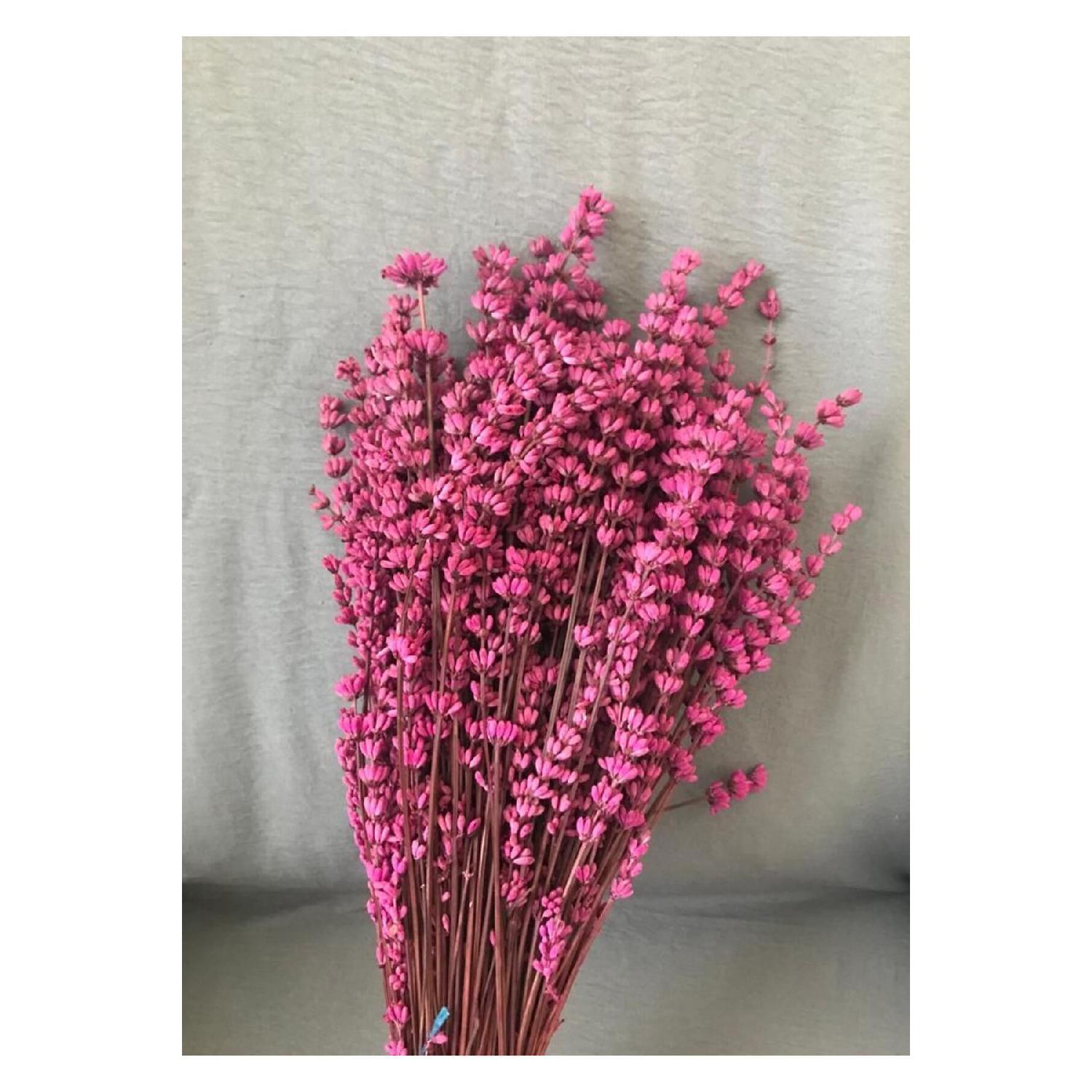 Lavender Bunch - Dried, Pink Colored, Real Natural Looking Decoration And Ornament Plant (80-100 Gram) розовый
Lavender Bunch - Dried, Pink Colored, Real Natural Looking Decoration And Ornament Plant (80-100 Gram) розовый