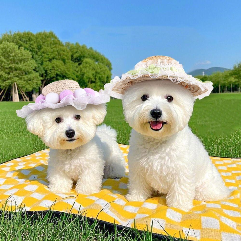 Princess Hat Dog Straw Hat Adjustable Pet Summer Cap Puppy Sun Hat Small and Medium Dogs M-Style G
Princess Hat Dog Straw Hat Adjustable Pet Summer Cap Puppy Sun Hat Small and Medium Dogs M-Style G