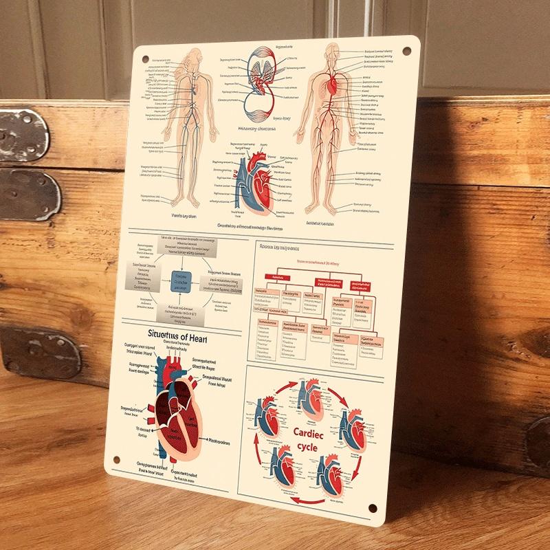 1 piece of 2D anatomical metal hanging plaque depicting the cardiovascular system, heart structure, and is suitable for medical (as the picture,20x30cm)
1 piece of 2D anatomical metal hanging plaque depicting the cardiovascular system, heart structure, and is suitable for medical (as the picture,20x30cm)