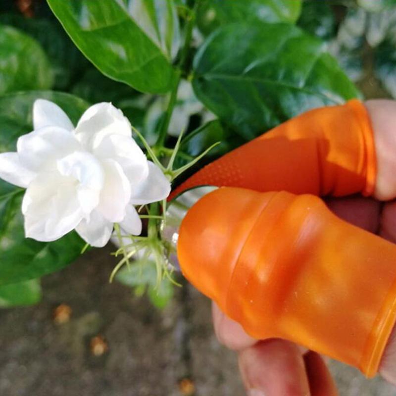 Силиконовый нож для большого пальца, нож для сбора винограда, клубники, защита для пальцев, нож для сбора овощей, садовый кухонный инструмент
Силиконовый нож для большого пальца, нож для сбора винограда, клубники, защита для пальцев, нож для сбора овощей, садовый кухонный инструмент