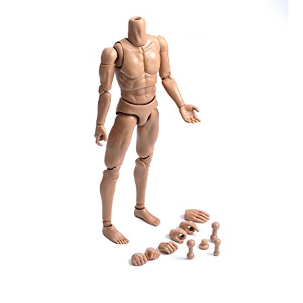 12 Inch Male Soldier Body Model Muscular Fits 1/6 Head Sculpt Action Figure
12 Inch Male Soldier Body Model Muscular Fits 1/6 Head Sculpt Action Figure