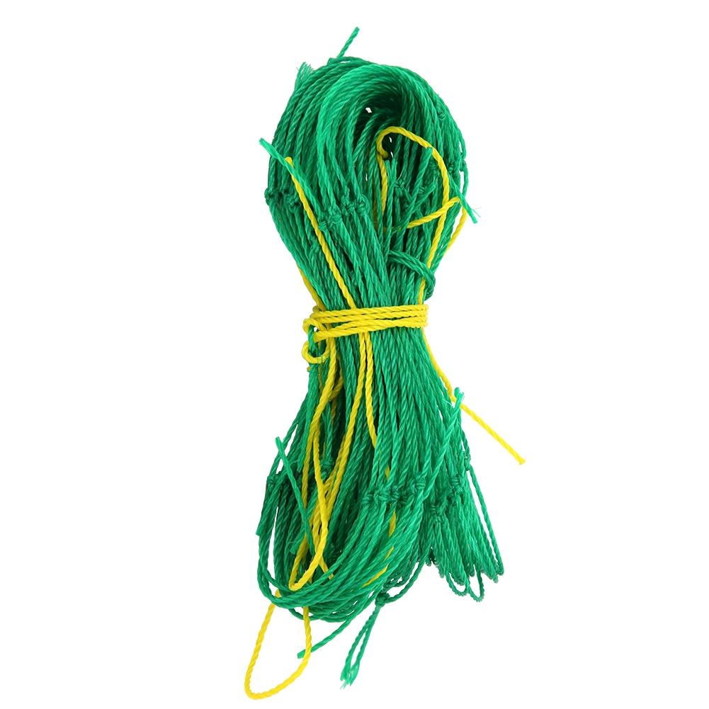 Flexible Elastic Plant Support Vine Net Climbing Garden Plant Trellis Net for Fruits Vegetables
Flexible Elastic Plant Support Vine Net Climbing Garden Plant Trellis Net for Fruits Vegetables