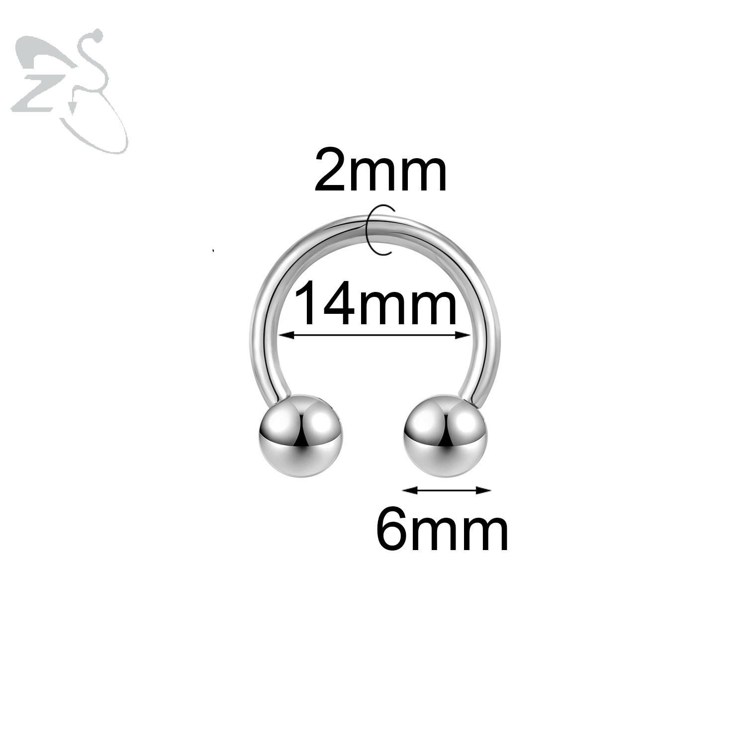ZS 1PC Big Large Size Captive Bead Nose Ring Stainless Steel Horseshoe Hoop Earrings BCR Barbell Piercings Plug Expander Guauge
ZS 1PC Big Large Size Captive Bead Nose Ring Stainless Steel Horseshoe Hoop Earrings BCR Barbell Piercings Plug Expander Guauge