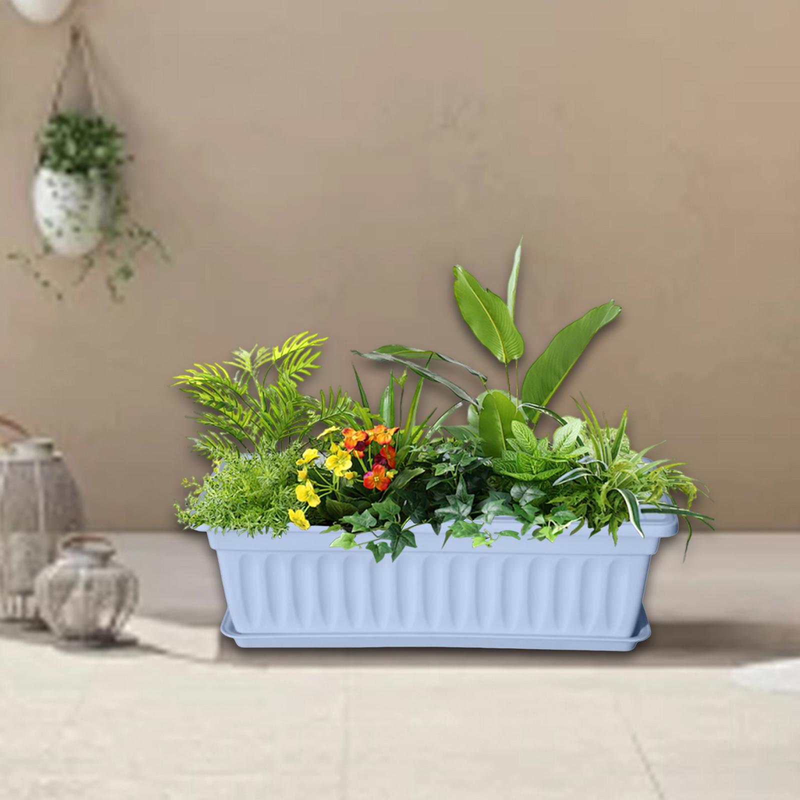 Flower box window box plant plant box vegetables flower -cooker box garden синій
Flower box window box plant plant box vegetables flower -cooker box garden синій