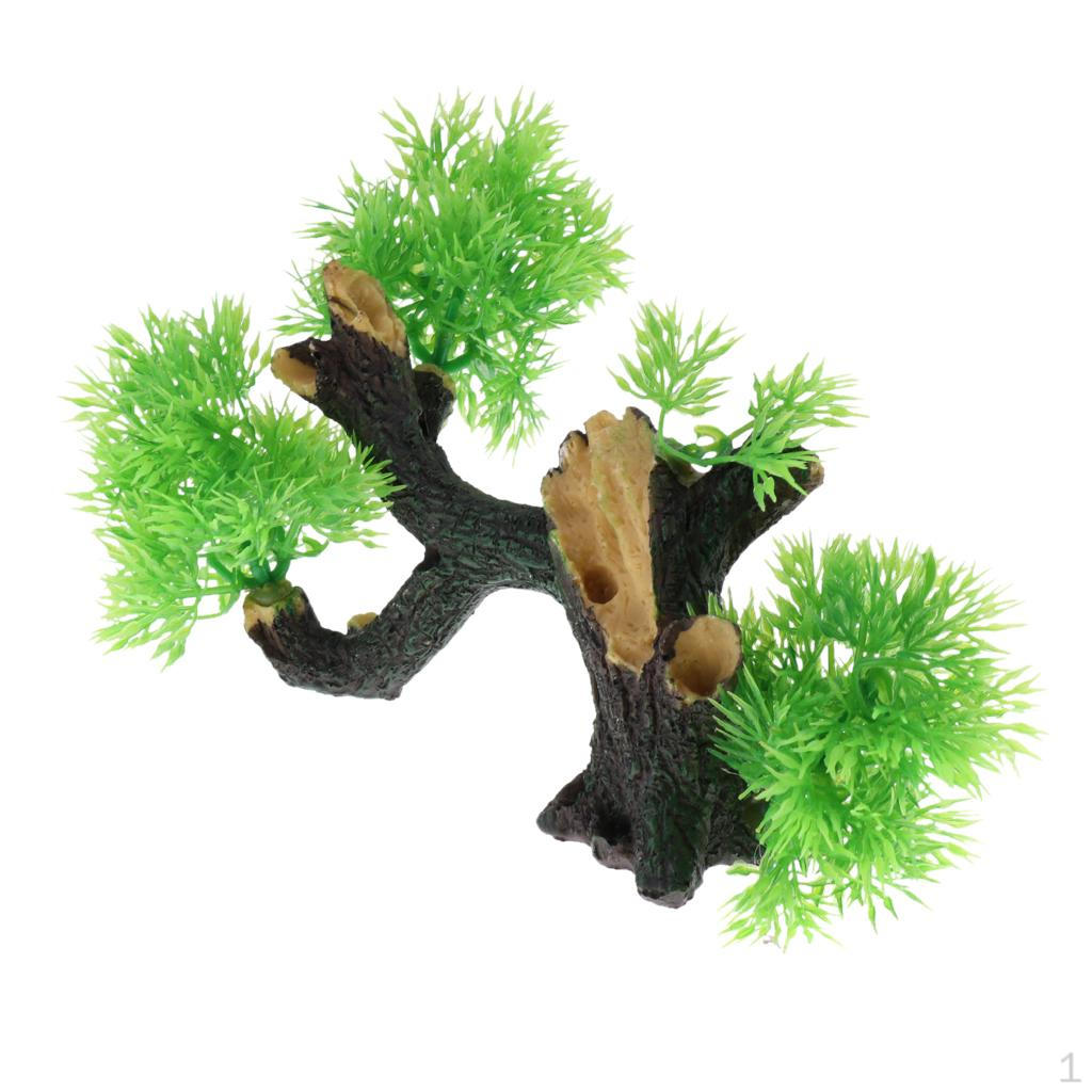 on Driftwood Freshwater Live Aquarium Plant Decorations Tank #1
on Driftwood Freshwater Live Aquarium Plant Decorations Tank #1