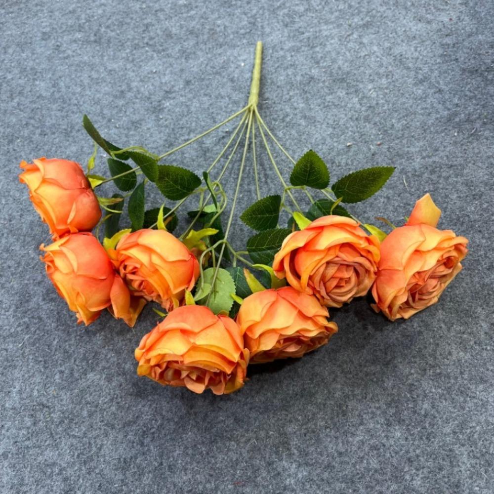 7 Heads Real Happy Imperial Rose Flower Mini Photography Photo Gift Natural Simulated Rose 9 Colors Valentine s Day Flowers
7 Heads Real Happy Imperial Rose Flower Mini Photography Photo Gift Natural Simulated Rose 9 Colors Valentine s Day Flowers