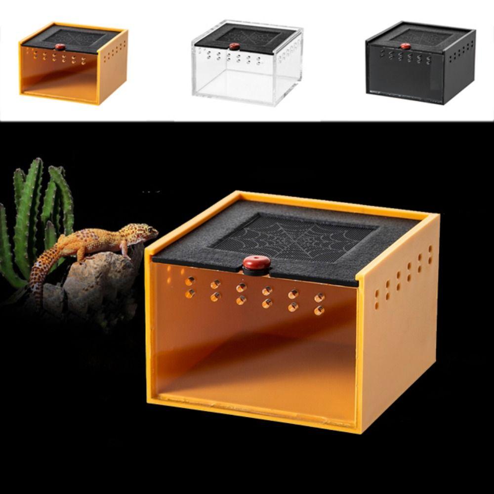 Plastic Reptile Lizard Box Removable Jumping Spider Breeding Box Practical Pet Crawler Box Beetle
Plastic Reptile Lizard Box Removable Jumping Spider Breeding Box Practical Pet Crawler Box Beetle