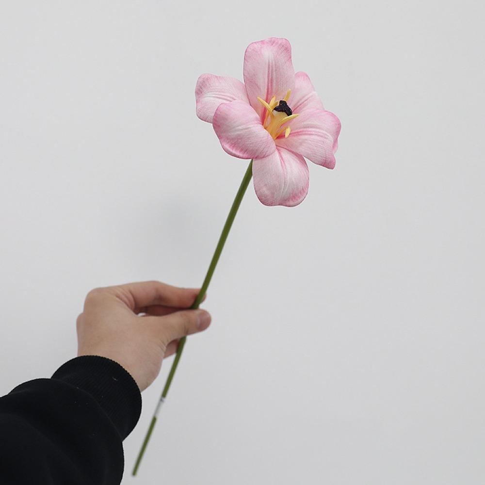 5pcs Real Touch Simulation Tulip Bouquet Realistic Fake Tulips Home Living Room Decor розовый
5pcs Real Touch Simulation Tulip Bouquet Realistic Fake Tulips Home Living Room Decor розовый