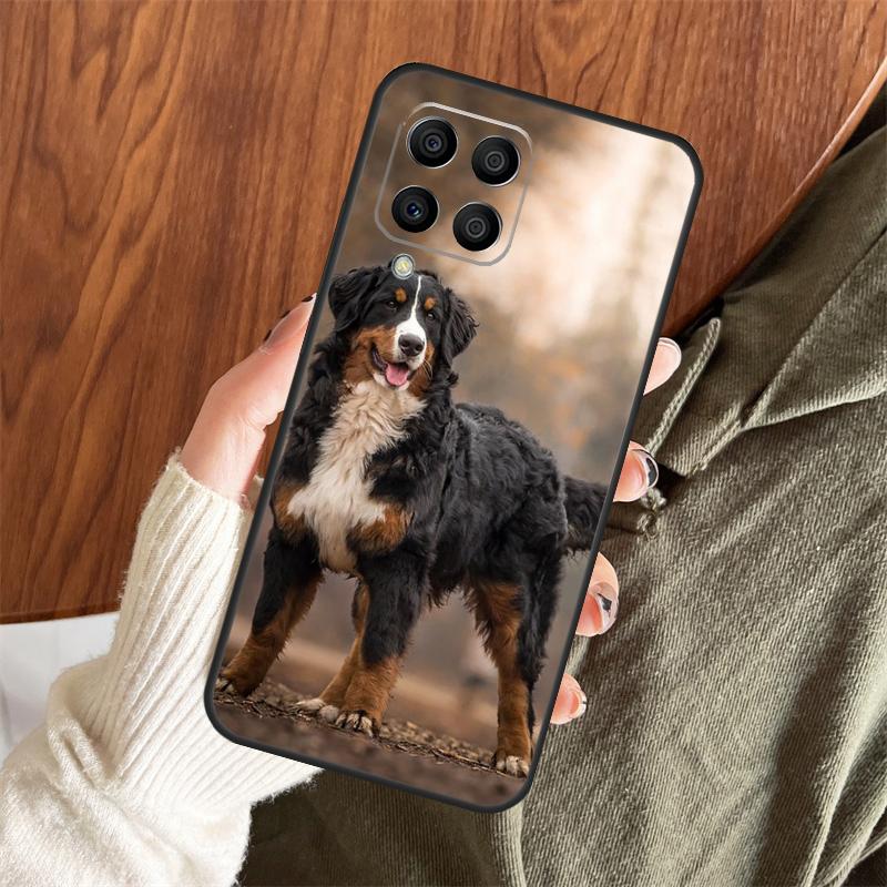 Bernese Mountain Dog Case For Samsung Galaxy M14 M34 M54 M12 M32 M52 M15 M11 M13 M06 M16 M36 M56 M31 M53 M35 M55 Samsung M36
Bernese Mountain Dog Case For Samsung Galaxy M14 M34 M54 M12 M32 M52 M15 M11 M13 M06 M16 M36 M56 M31 M53 M35 M55 Samsung M36