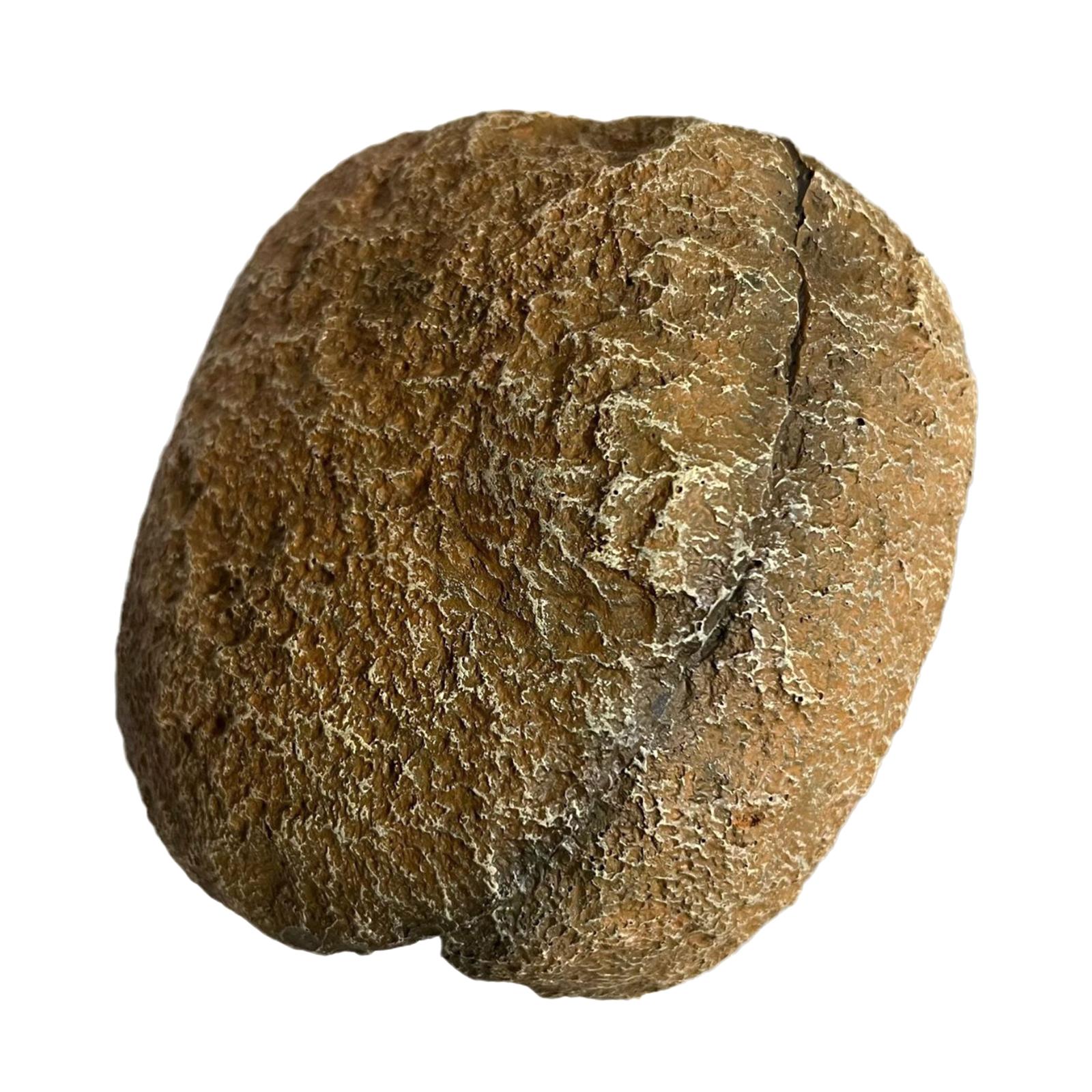 Магнитный аквариумный грот-укрытие, пещера из камня для разведения рыб и креветок, безопасное смоляное укрытие-пещера для легкого крепления к стеклу
Магнитный аквариумный грот-укрытие, пещера из камня для разведения рыб и креветок, безопасное смоляное укрытие-пещера для легкого крепления к стеклу