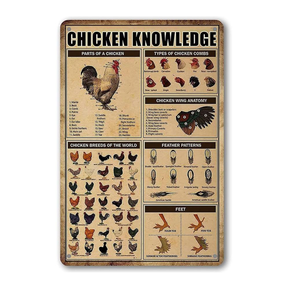 Metal Material Chicken Coop Signs 20 * 30cm Funny Style Chicken Coop Accessories Vintage Rustic Funny Chicken Signs
Metal Material Chicken Coop Signs 20 * 30cm Funny Style Chicken Coop Accessories Vintage Rustic Funny Chicken Signs