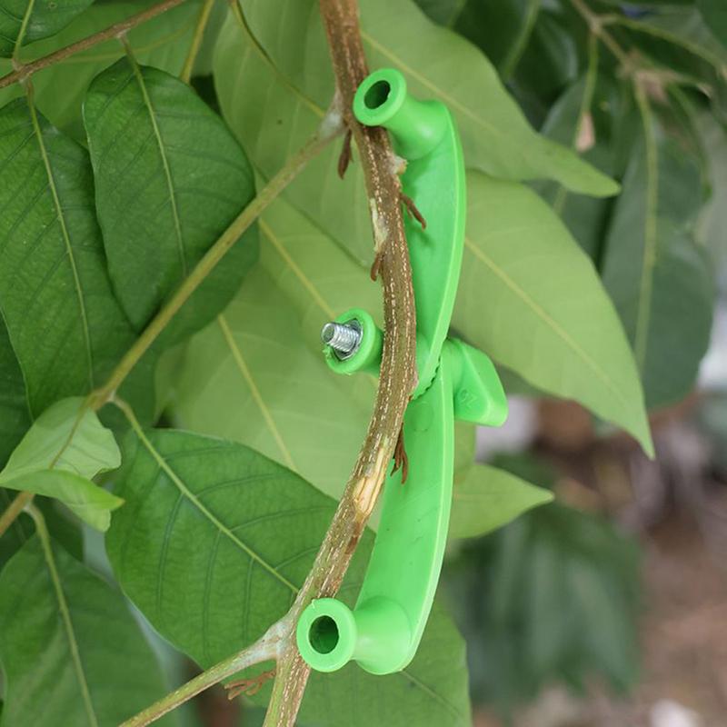 Fruit Tree Branch Spreaders Fruit Trees Branch Support Adjustable Limb Bender Shaping Tools For Healthy Growth Garden Plant Care China Mainland
Fruit Tree Branch Spreaders Fruit Trees Branch Support Adjustable Limb Bender Shaping Tools For Healthy Growth Garden Plant Care China Mainland