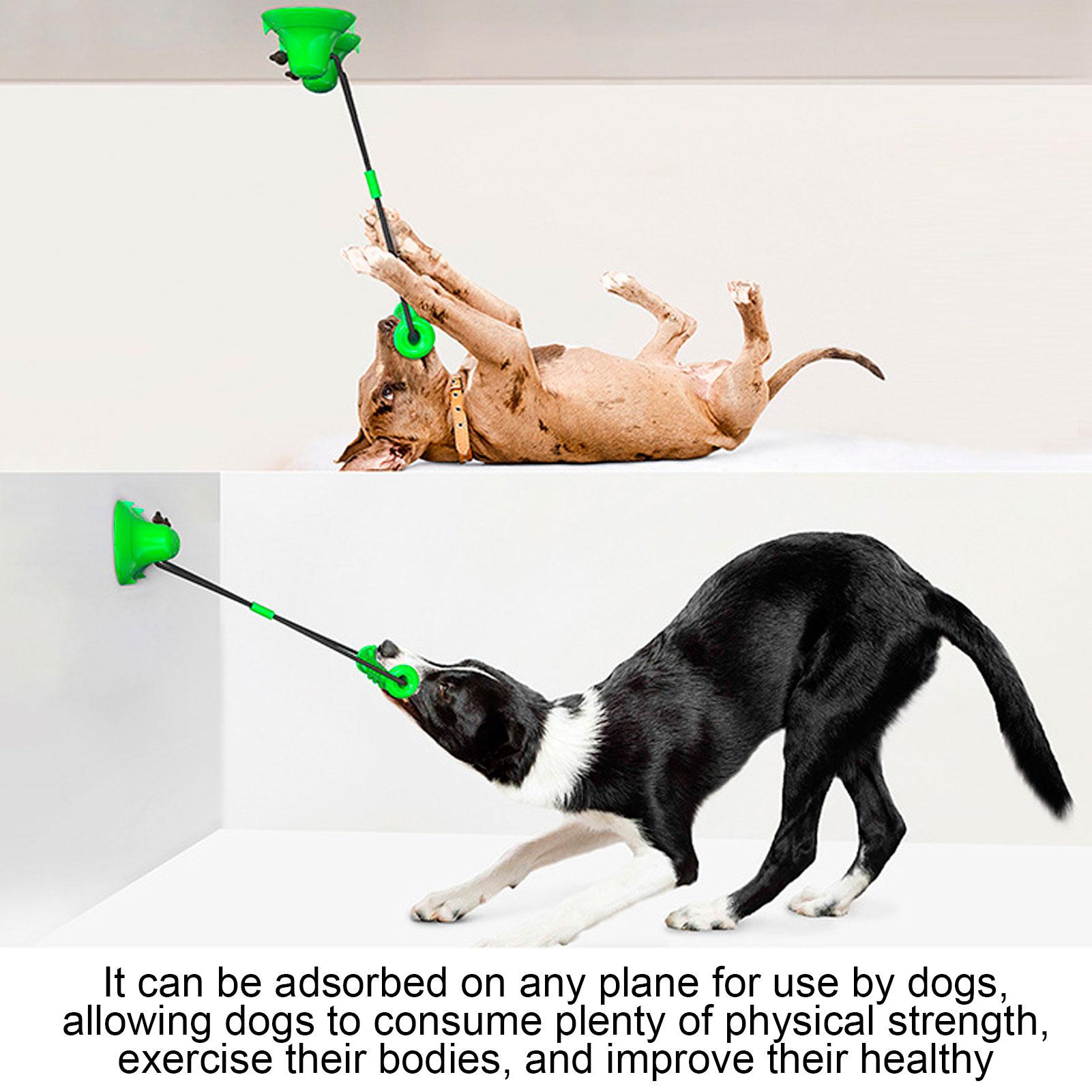 Double Suction Cup Dog Chew Molar Toy Pet Teeth Clning Bite Stick Interactive Toy
Double Suction Cup Dog Chew Molar Toy Pet Teeth Clning Bite Stick Interactive Toy