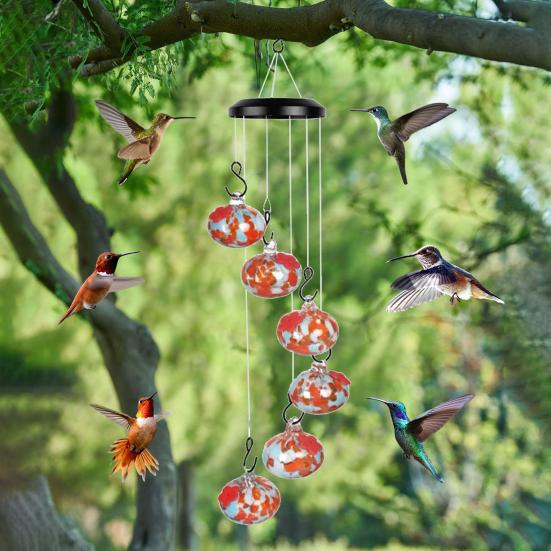 Кормушка для колибри Yousheng Wind Chime, уличная металлическая кормушка с защитой от муравьев и пчел, подвесная кормушка из выдувного стекла ручной работы для оконного сада, патио красный
Кормушка для колибри Yousheng Wind Chime, уличная металлическая кормушка с защитой от муравьев и пчел, подвесная кормушка из выдувного стекла ручной работы для оконного сада, патио красный