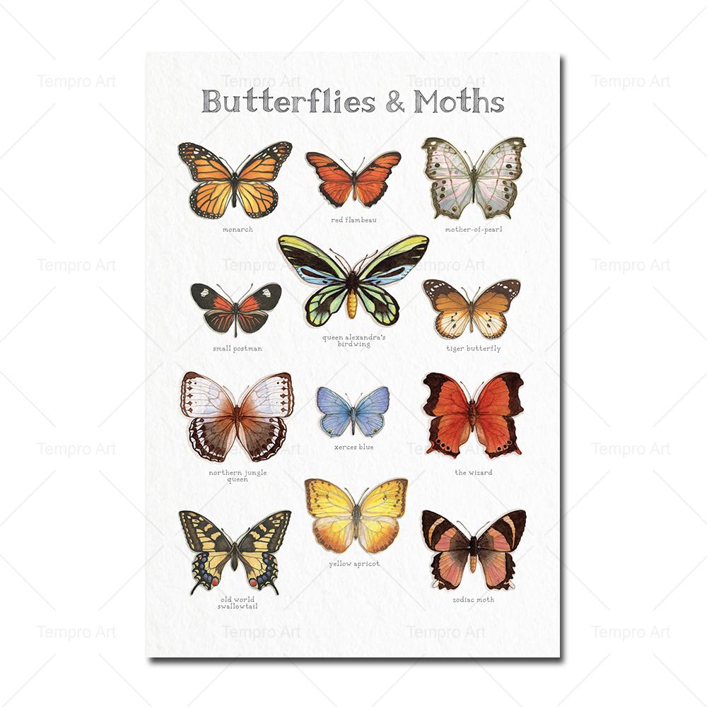 Винтажный постер с бабочками и насекомыми, холст, картина, биология, образование, исследование, принты, настенные художественные фотографии, домашний декор для гостиной 21x30cm No Frame
Винтажный постер с бабочками и насекомыми, холст, картина, биология, образование, исследование, принты, настенные художественные фотографии, домашний декор для гостиной 21x30cm No Frame