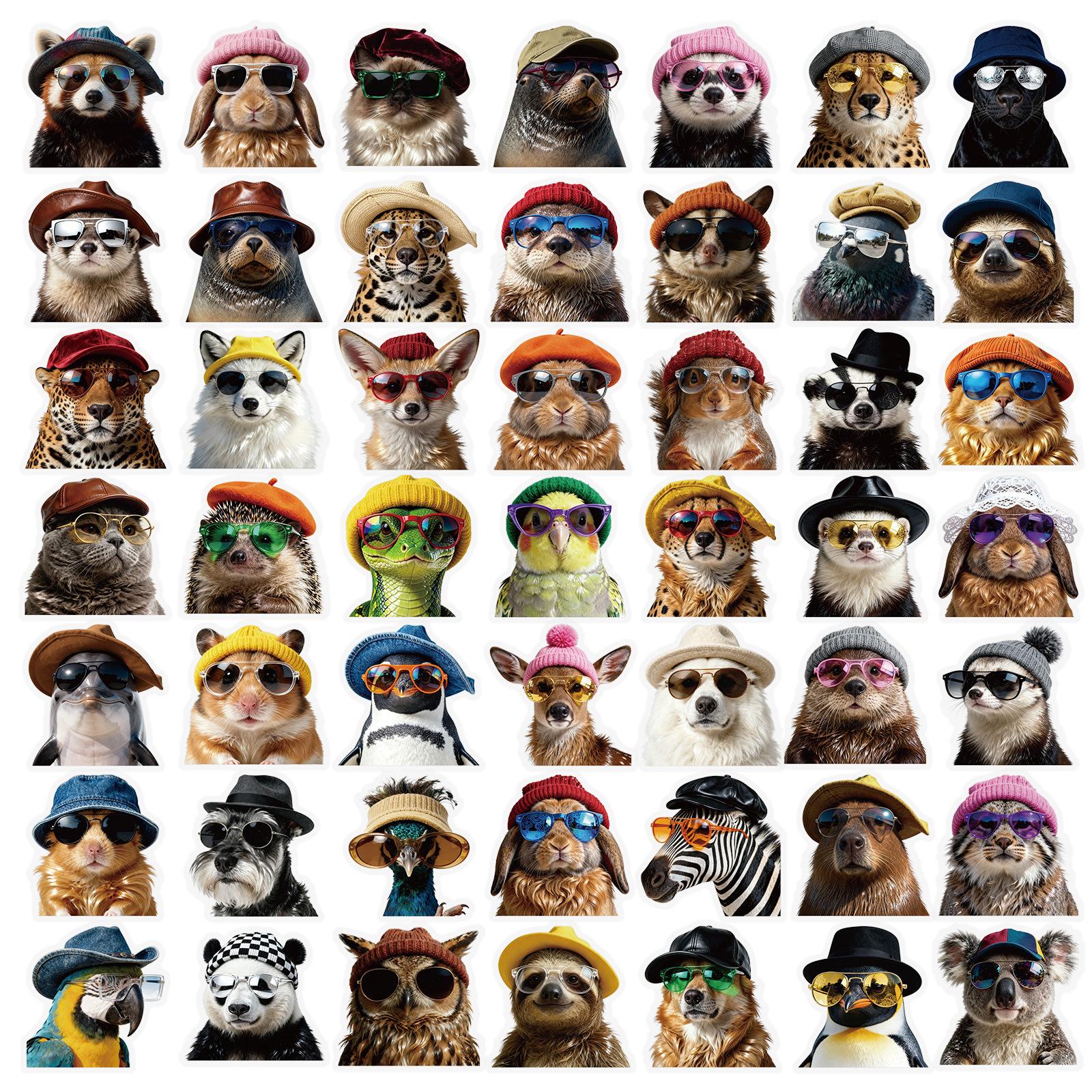 50/100 Pcs HD PET Clear Cute Pet Face Cartoon Stickers for Phone File Holder Printer Suitcase Laptop Car Waterproof Decals
50/100 Pcs HD PET Clear Cute Pet Face Cartoon Stickers for Phone File Holder Printer Suitcase Laptop Car Waterproof Decals