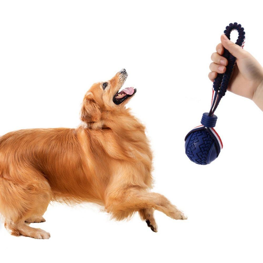 TPR Pet Interactive Rope Knot Balls Устойчивые к укусам игрушки для жевания собак Мяч для дрессировки
TPR Pet Interactive Rope Knot Balls Устойчивые к укусам игрушки для жевания собак Мяч для дрессировки