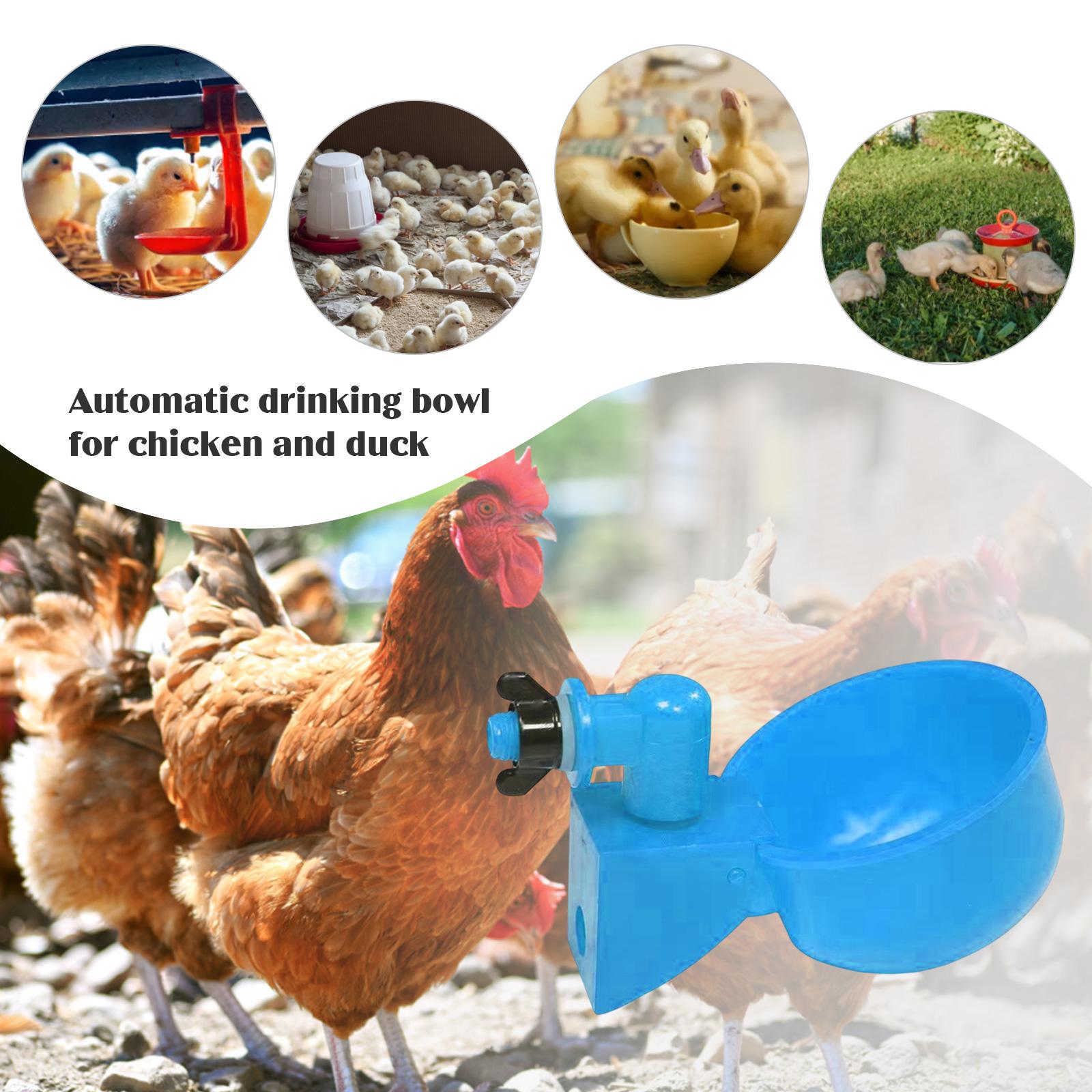 6-60pcs Chicken Duck Drinking Cup Automatic Drinker Chicken Feeder Plastic Poultry Farm Water Drinking Cups Easy Installation 6pcs синий
6-60pcs Chicken Duck Drinking Cup Automatic Drinker Chicken Feeder Plastic Poultry Farm Water Drinking Cups Easy Installation 6pcs синий