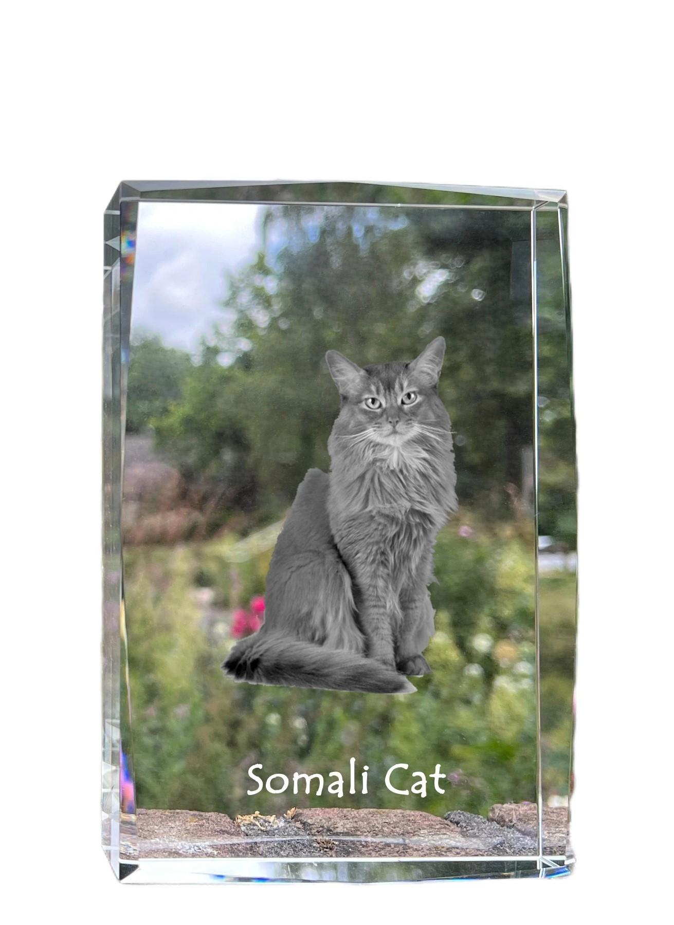Somali - crystal with a picture of a cat, photo in glass, modern exhibition of Art-Dog brand photo прозорий
Somali - crystal with a picture of a cat, photo in glass, modern exhibition of Art-Dog brand photo прозорий