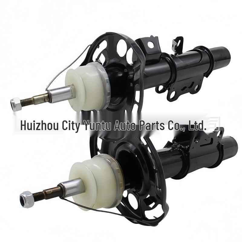 Shock Absorber 23219710/23219711/23486636 for Cadillac ATS 23469923
Shock Absorber 23219710/23219711/23486636 for Cadillac ATS 23469923