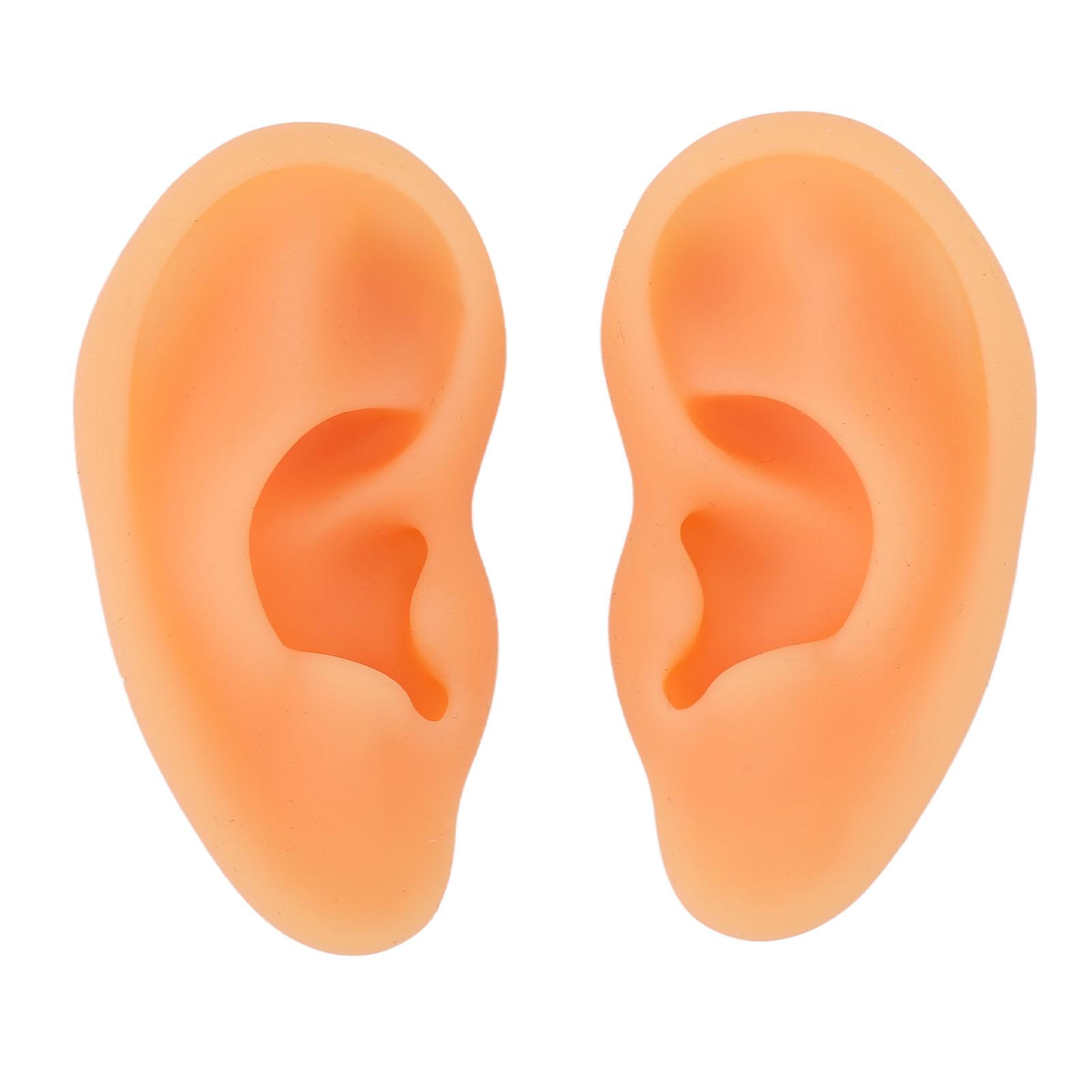 2Pcs Silicone Ear Model Soft Silicone Highly Simulated Widely Used Acupuncture Ear Model for
2Pcs Silicone Ear Model Soft Silicone Highly Simulated Widely Used Acupuncture Ear Model for