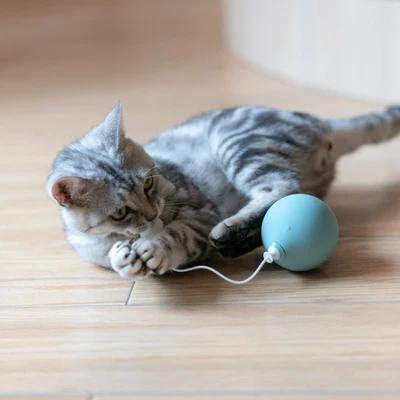 Automatic Cat Toy Electric Teaser Wand Self Moving Tumbler Ball Interactive Kitten Plaything
Automatic Cat Toy Electric Teaser Wand Self Moving Tumbler Ball Interactive Kitten Plaything