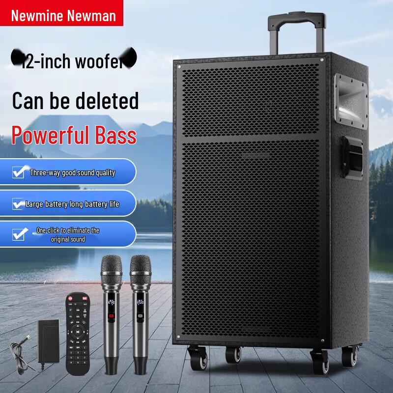 Newsmy N550 12-inch Portable Outdoor Bluetooth Speaker with Microphone
Newsmy N550 12-inch Portable Outdoor Bluetooth Speaker with Microphone
