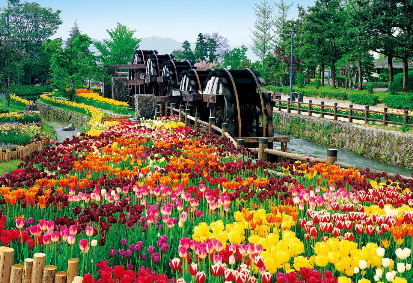 1053 Piece Jigsaw Puzzle Waterwheel and Blooming Park Toyama Super Small Piece Five-Way - (26x38cm)
1053 Piece Jigsaw Puzzle Waterwheel and Blooming Park Toyama Super Small Piece Five-Way - (26x38cm)