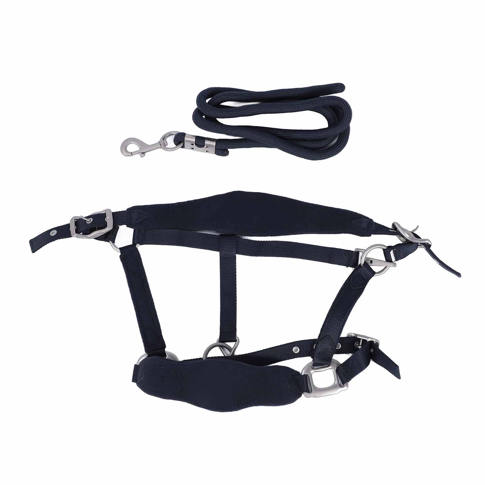 Horse Halter Set Prevent Rubbing Adjustable Horse Training Halter with 2m Horse Leash for Training
Horse Halter Set Prevent Rubbing Adjustable Horse Training Halter with 2m Horse Leash for Training