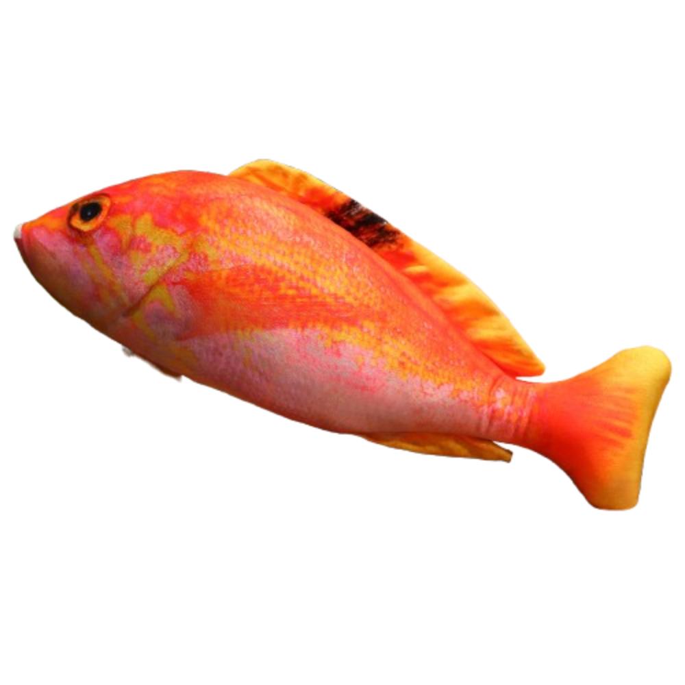 Stuffed Animal Simulated Sea Fish Pillow Fish Anime Pillow Dolls Toy for Little Kids Style 3
Stuffed Animal Simulated Sea Fish Pillow Fish Anime Pillow Dolls Toy for Little Kids Style 3