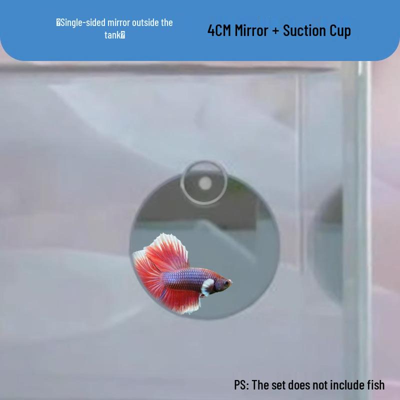 Betta Fish Mirror with Suction Cup for Exercise and Interaction
Betta Fish Mirror with Suction Cup for Exercise and Interaction
