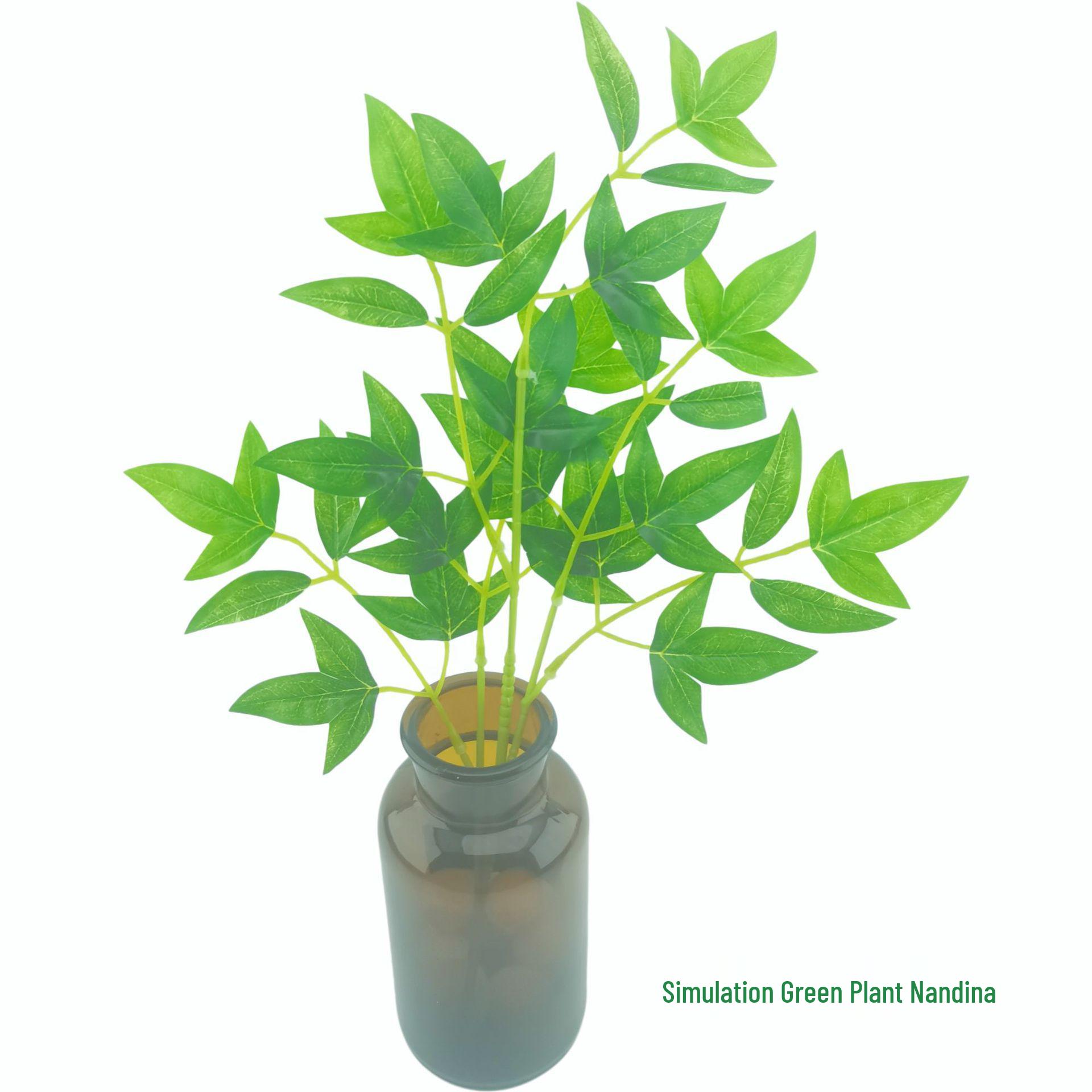 Nandina Leaves Artificial Screen: Indoor/Outdoor Bamboo Privacy Wall & Greenery Decor
Nandina Leaves Artificial Screen: Indoor/Outdoor Bamboo Privacy Wall & Greenery Decor